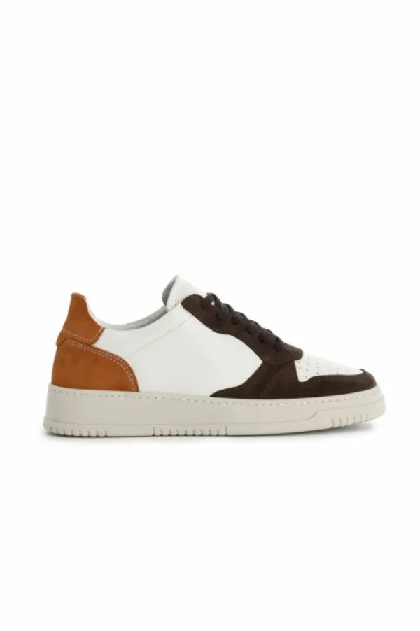 Uomo CafèNoir sneakers da uomo allacciate in pelle e camoscio multi cioccolato